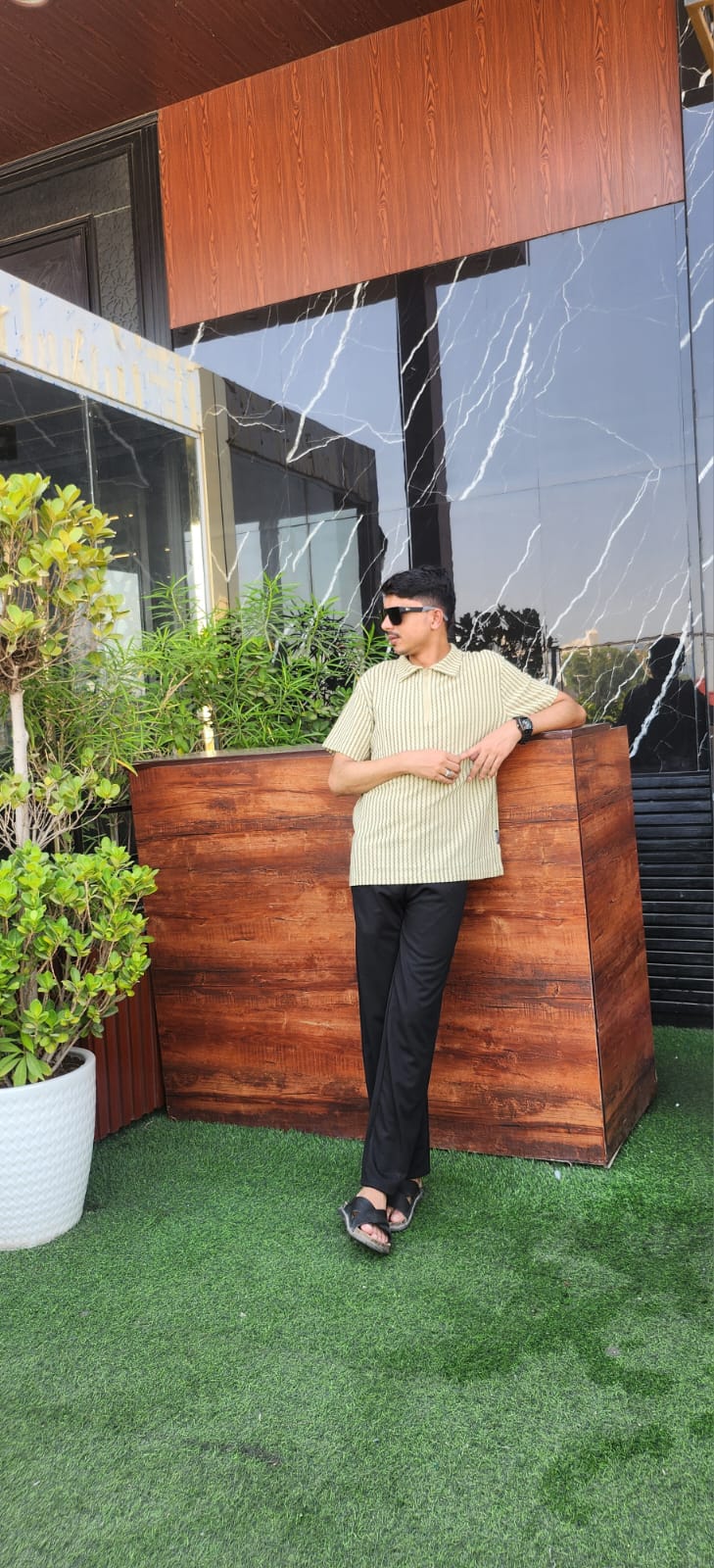 Zeeshan Ali - Shani